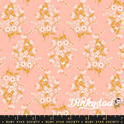 Sunbeam - Jelly Roll - Rashida Coleman-Hale - Ruby Star Society