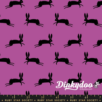 Spooky Darlings - Layer Cake - Ruby Star Society - Dinkydoo Fabrics