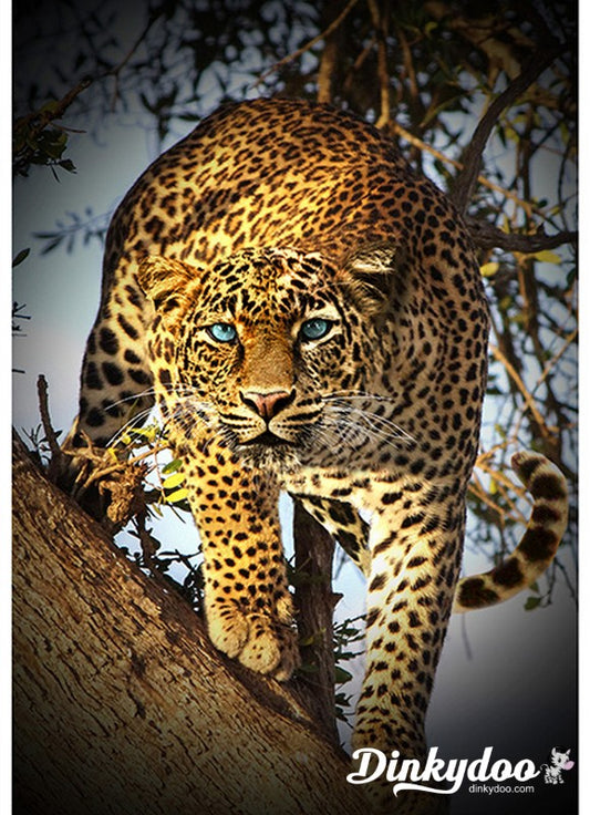 Call of the Wild Digital Panel - Leopard (4838-686)