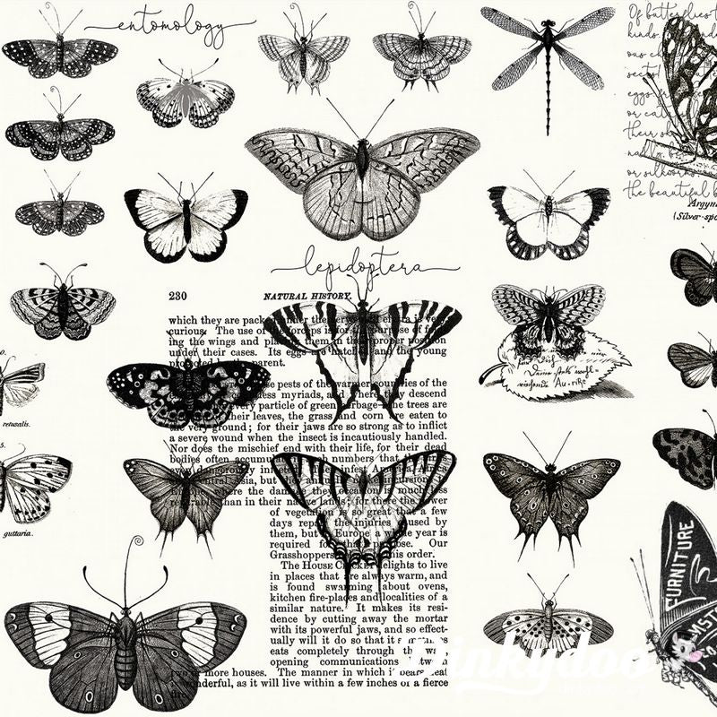 Art Journal - Butterflies White (Digital) - Riley Blake